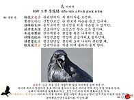 박쥐는 조류가 아..