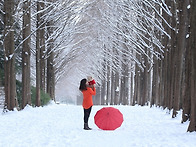 담양 메타길 (작년에 )