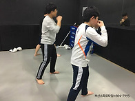 종합격투기 기본 첫 수업 ..