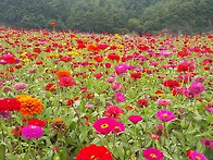 barista김대리쌤only1..