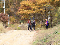 10월23일(양평)청계산산행