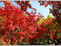 소요산