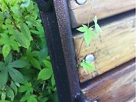 우리동네 언덕길가 풀밭친..