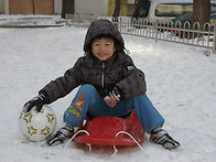 축구/눈썰매/파리바게뜨...