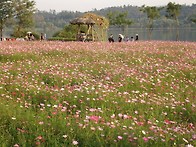 구리 한강변