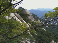 용출봉 삼형제 봉을 보며