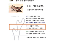 당당하게 [ 동의 침향 공..