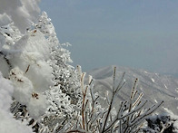 가지산 설경