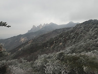 산배경