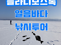 블라디보스톡 얼음낚시 투..