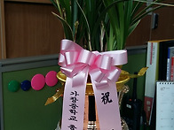 ＜축하 드립니다 ＞ 19기..