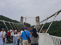장가계5