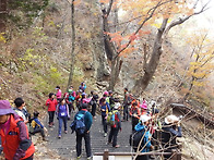 설악산 흘림골 주전골