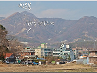실내 사진과 여름..