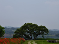물소리