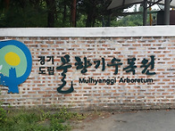 물향기 여름향기 1
