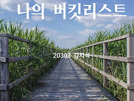 20303김지석