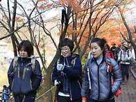 11월 정기산행(내..