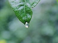 좋은 점을 보아라‥