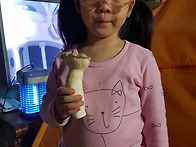 햇살반 효린이 버섯