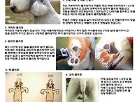 베들링턴테리어 기본미용 