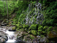 산 정상...