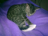 요즘 넘 빨리 움직..