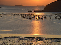 이순신대교 주변 야경