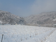 겨울농장전경