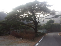 운장산(11/23)