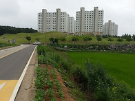 서산 부장리 고분군...사..