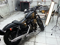 할리데이비슨 아이언(harley-davidson..