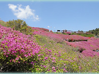 2020-04-27. 부산진구 백..