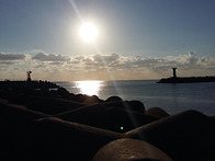 힌가위 총동문체육대회(1..