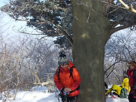 2013년 1월 태백산에서....