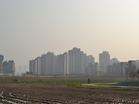 서창2지구 주변 산책