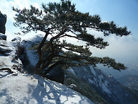 2011년의첫 산행공지