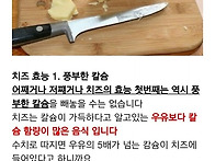 치즈의 효능