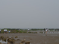 2013 춘계워크숍 사진