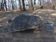 강화교산리고인돌군