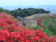 고창에서