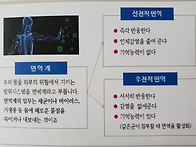 아는만큼 건강해진다. 미네랄 시리즈1.....