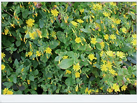 10월17일 통영 대매물도 ..