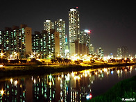 안양천 야경 사진