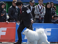 2012년4월8일 대전