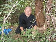 문의리 촌부 거북선인