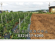 ＜강화도 불은면 ..