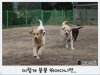 남자의 뽀뽀는 받지않는다..