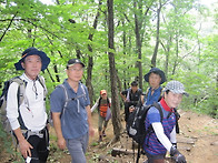 삼복더위와 폭염경보속에서..