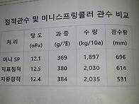 복숭아원의 관수